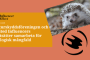 Mall Influencereffect.se (1)