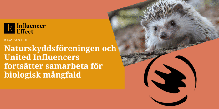 Mall Influencereffect.se (1)